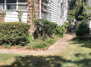 Bush Trimming by Allan Roberts for Christi D. in Washington, DC