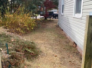 Leaf Removal by Steven Moreira for FLOYD W. in Norfolk, VA