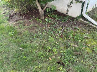 Leaf Removal by Desean Bennett for Tracey A. in Oxon Hill, MD