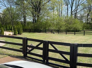 Justin N.'s Lawn Care service result