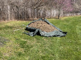 Leaf Removal by Jhonatan Torres for Talaya C. in Clinton, MD