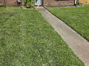 Joshua A.'s Lawn Maintenance service result