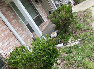 Bush Trimming by Brandon Bowers for Deborah D. in Houston, TX