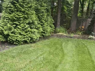 Cleanups by Ladarron Black for Mike B. in Medford, NJ