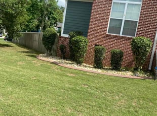 Bush Trimming by Richard Carpenter for Cameron C. in Evans, GA