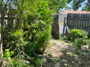 Bush Trimming by Valera Swearngin for Sedriana B. in Virginia Beach, VA