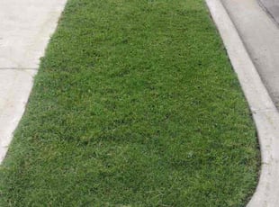 Weeding by Rodney Lee for DeJoris M. in Tulsa, OK