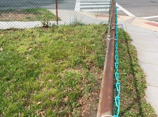 Cleanups by Journey Heal for Alexis H. in Washington, DC