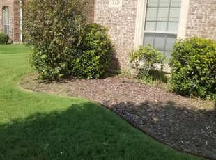 Bush Trimming by Michael Weil for Angela K. in Burleson, TX