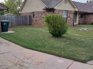Bush Trimming by Tony Rodriguez for Cindy B. in Norman, OK