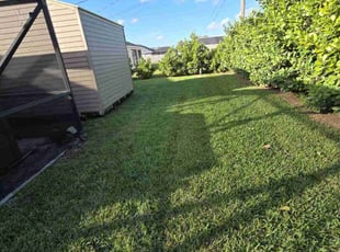 Randi M.'s Lawn Service service result
