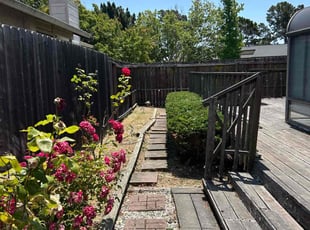 Bush Trimming by Christian Lopez for Patricia H. in Vallejo, CA