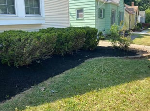 Mulching by Tefel Rivera for Samantha S. in Cleveland, OH