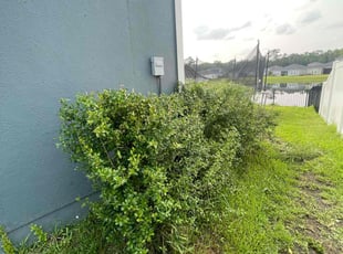 Bush Trimming by Vee Primus for NOSLEN A. in Jacksonville, FL