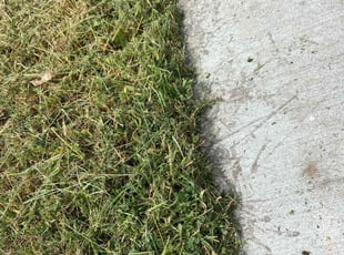Marilynn H.'s Lawn Care service result