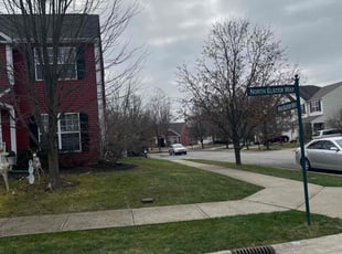Leaf Removal by Clay Allen for Terri M. in Fishers, IN