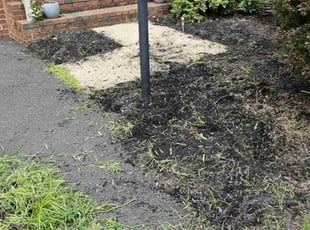 Weeding by Terrence Hawkins for Lubna Z. in Alexandria, VA