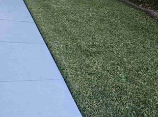 Daniel B.'s Lawn Mowing service result