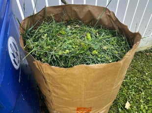 Cleanups by Alphonso Hoke for Alicia W. in Baltimore, MD