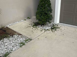 Bush Trimming by Michael SepΓΊlveda for Paris C. in Davenport, FL