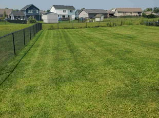 Jeremy M.'s Lawn Mowing service result