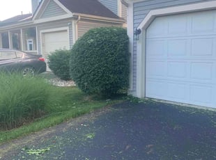 Bush Trimming by Edgar Hernandez for Kelly G. in Columbus, OH
