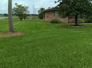 Ray K.'s Lawn Maintenance service result
