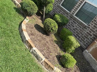 Bush Trimming by Patrick Stewart for Shelley T. in McKinney, TX