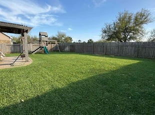Andrew S.'s Lawn Mowing service result