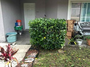 Bush Trimming by David Santiago for Shannon P. in Orlando, FL