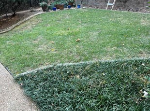 Bush Trimming by Landon Millett for Georgine P. in Nashville, TN