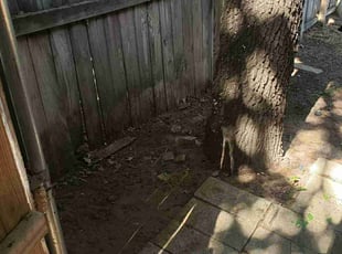 Cleanups by Jeremy Jenkins for Nicole R. in Arlington, TX