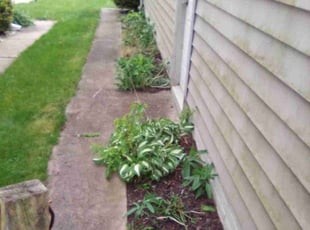 Leaf Removal by Tyrone Mitchell for Scott S. in Toledo, OH