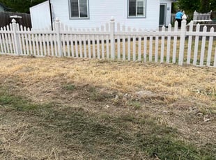Cleanups by Scott Ellis for Carol C. in Boise, ID