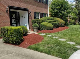 Mulching by Douglas Rivas for Arnold Thomas B. in Washington, DC