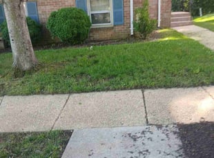 Bush Trimming by Dan Hume for Nancy P. in Beltsville, MD