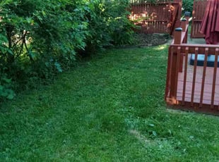 Richard K.'s Lawn Care service result