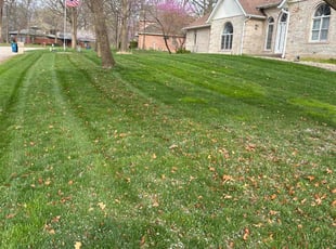 Martina S.'s Lawn Service service result