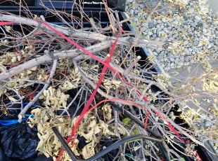 Cleanups by Jesse Ellwood for Kent L. in Denver, CO