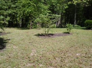 Landscaping by Michael Campbell for Julie M. in Mechanicsville, VA