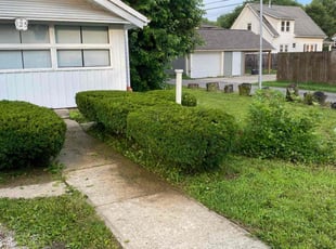 Bush Trimming by Eric Everson for Holly B. in Plainfield, IN
