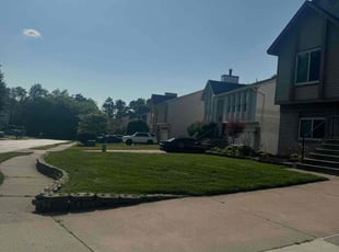 Matt H.'s Grass Cutting service result