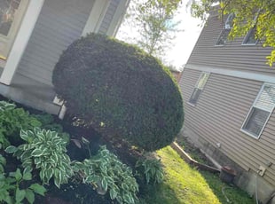 Cleanups by Edgar Hernandez for Kelly G. in Columbus, OH