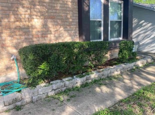 Bush Trimming by Jacob Clay for Johndrae C. in Converse, TX