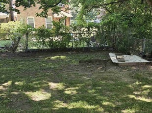 Leaf Removal by Brandon Morris for Mary M. in Pittsburgh, PA