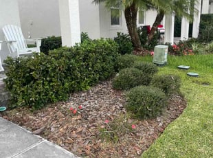 Weeding by Alphonso Sharp for Aida H. in Odessa, FL