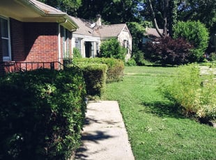 Bush Trimming by Michael Spikes for Katie P. in Memphis, TN