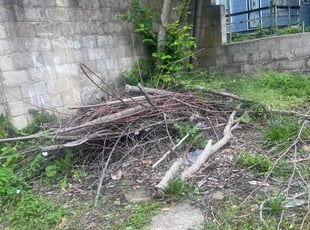 Cleanups by Dimas Lopez for Maya M. in Baltimore, MD