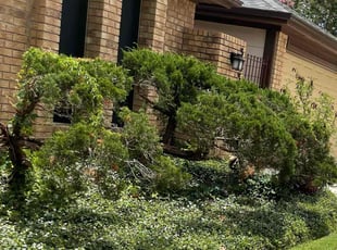 Landscaping by Mateo Trevino for Deborah H. in Houston, TX