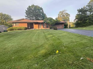 Lena E.'s Lawn Care service result